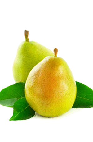 Ercolini-Pears