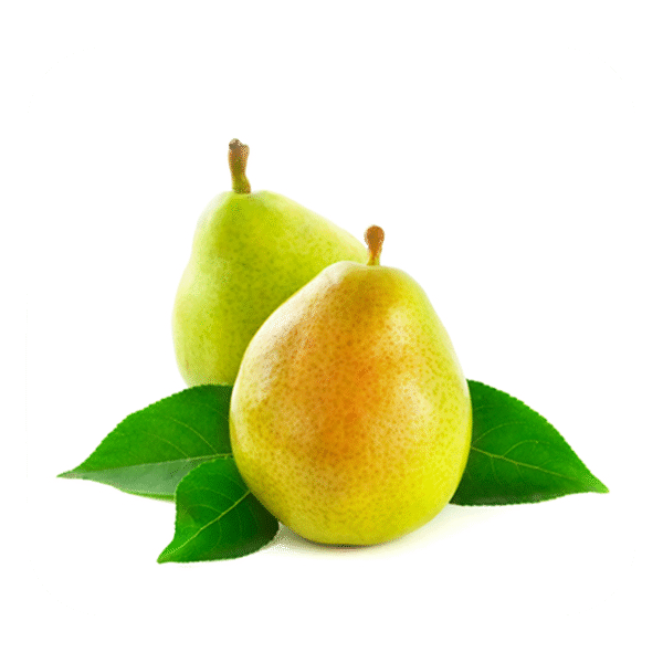 Ercolini-Pears