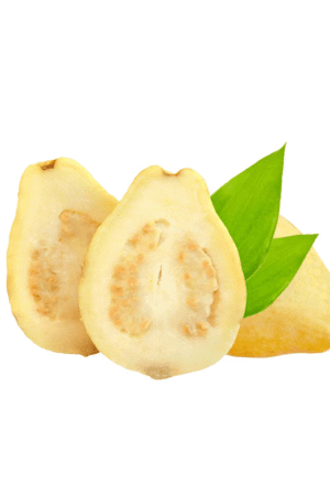 Guava