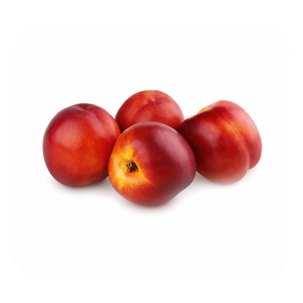 Nectarine