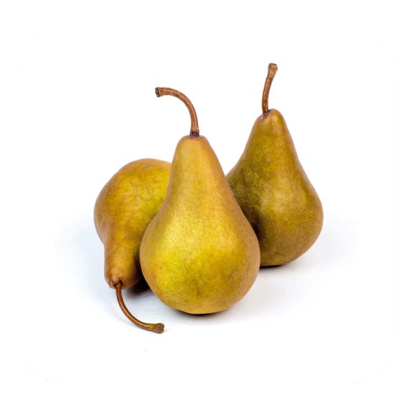 Pears-Bosc