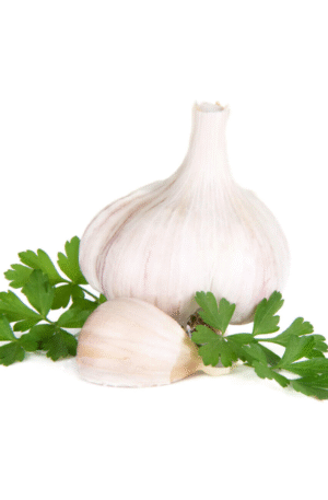 Garlic