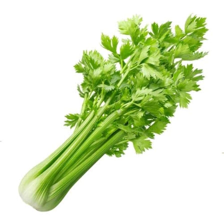 Celery - Image 2