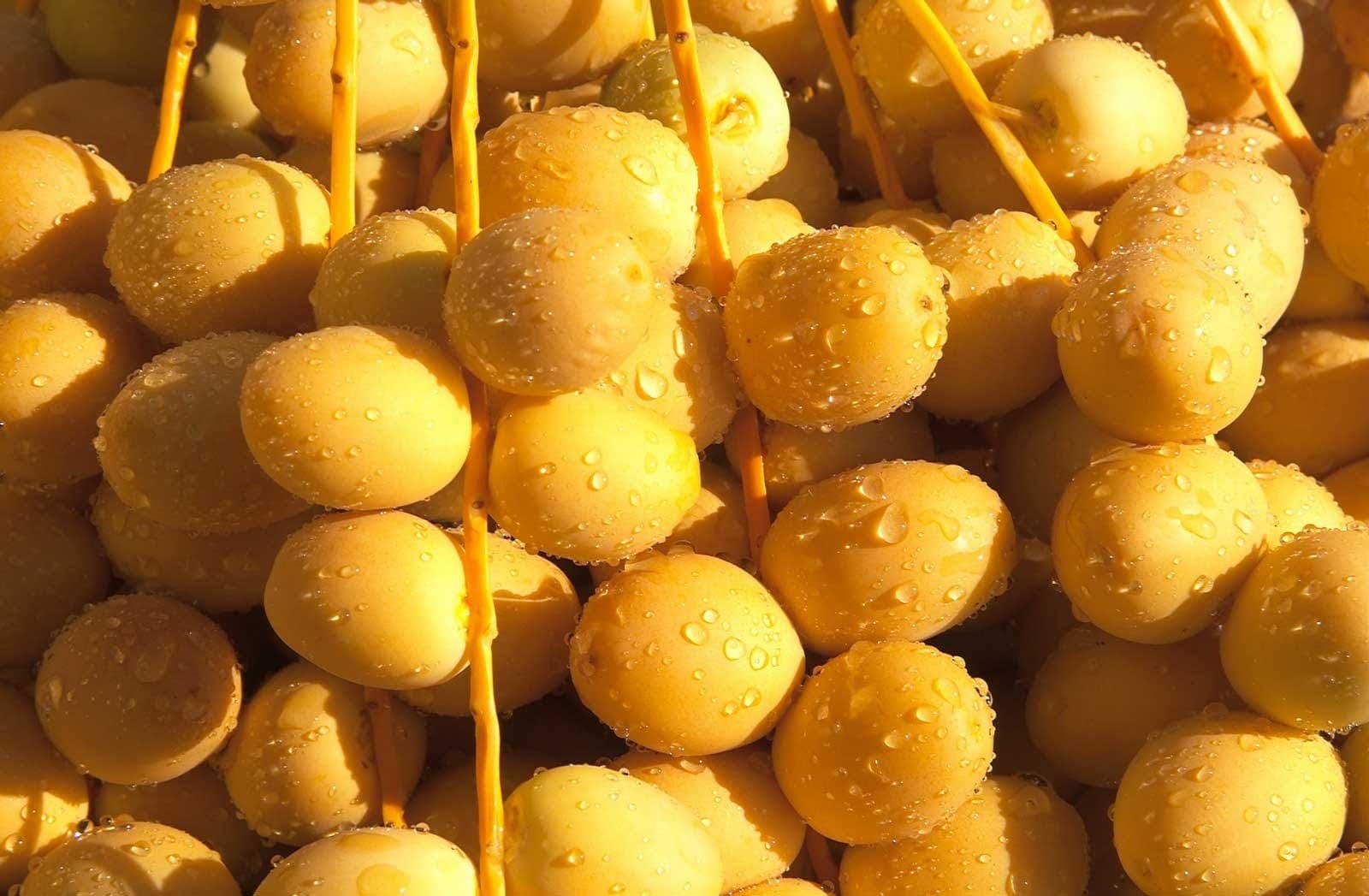 Fresh Barhi Dates
