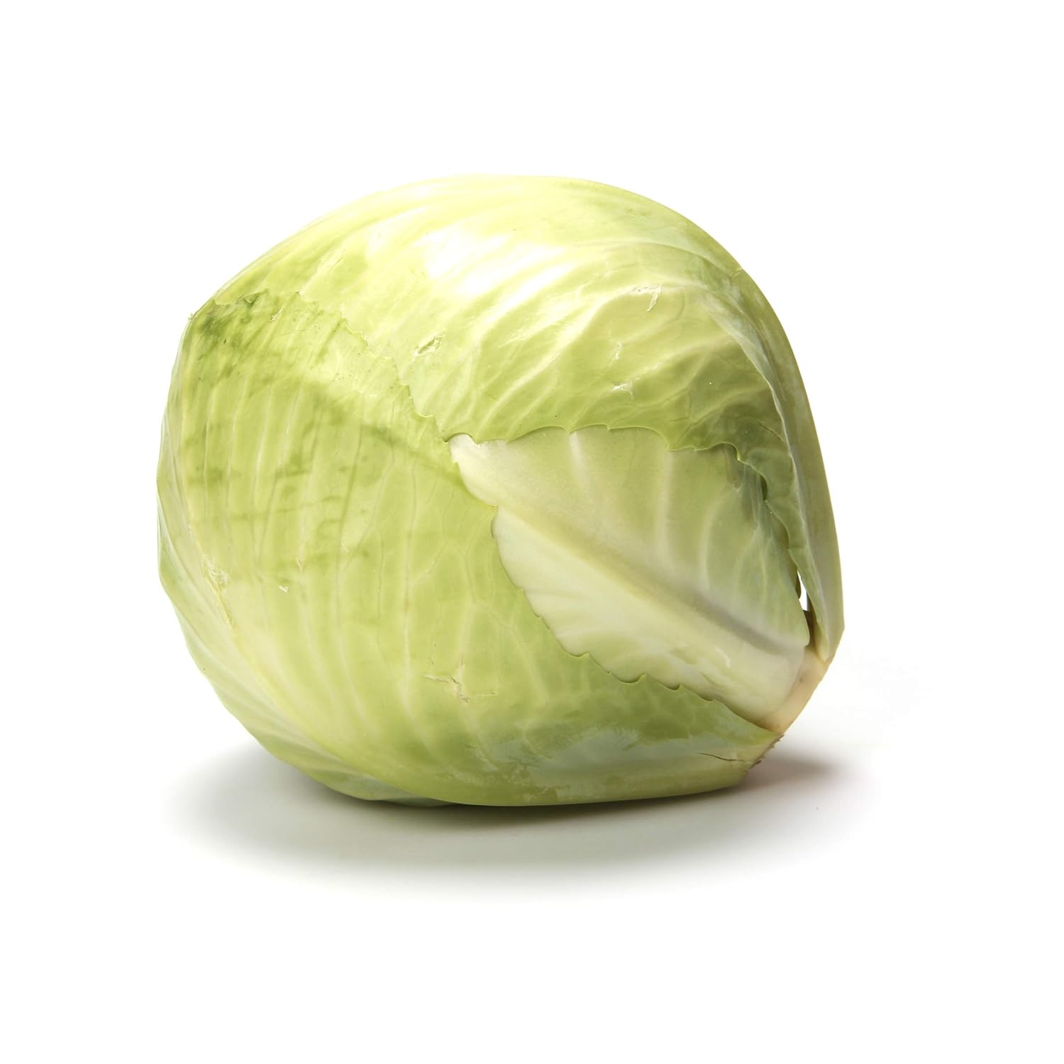Cabbage - Image 2