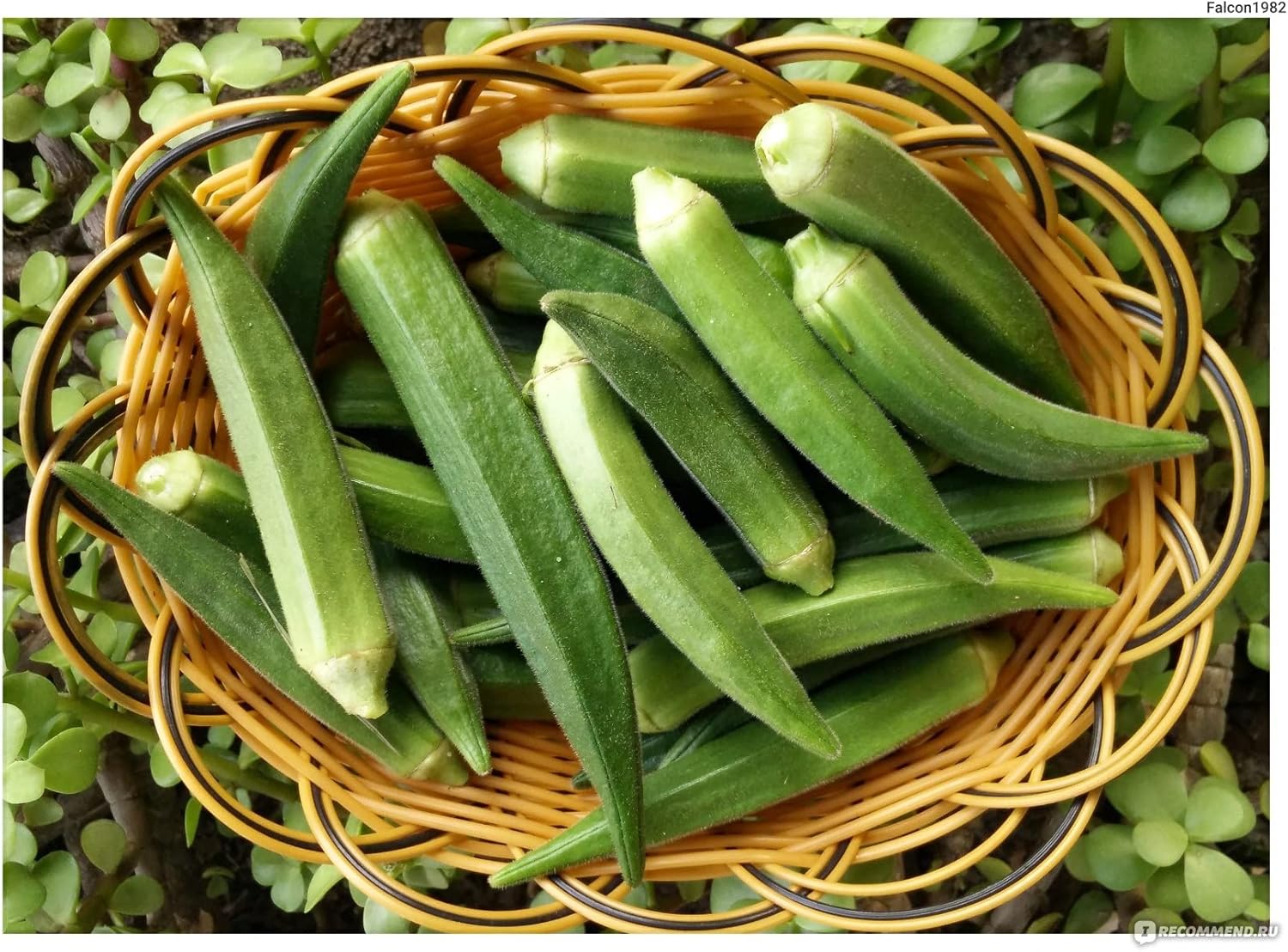 Okra - Image 2