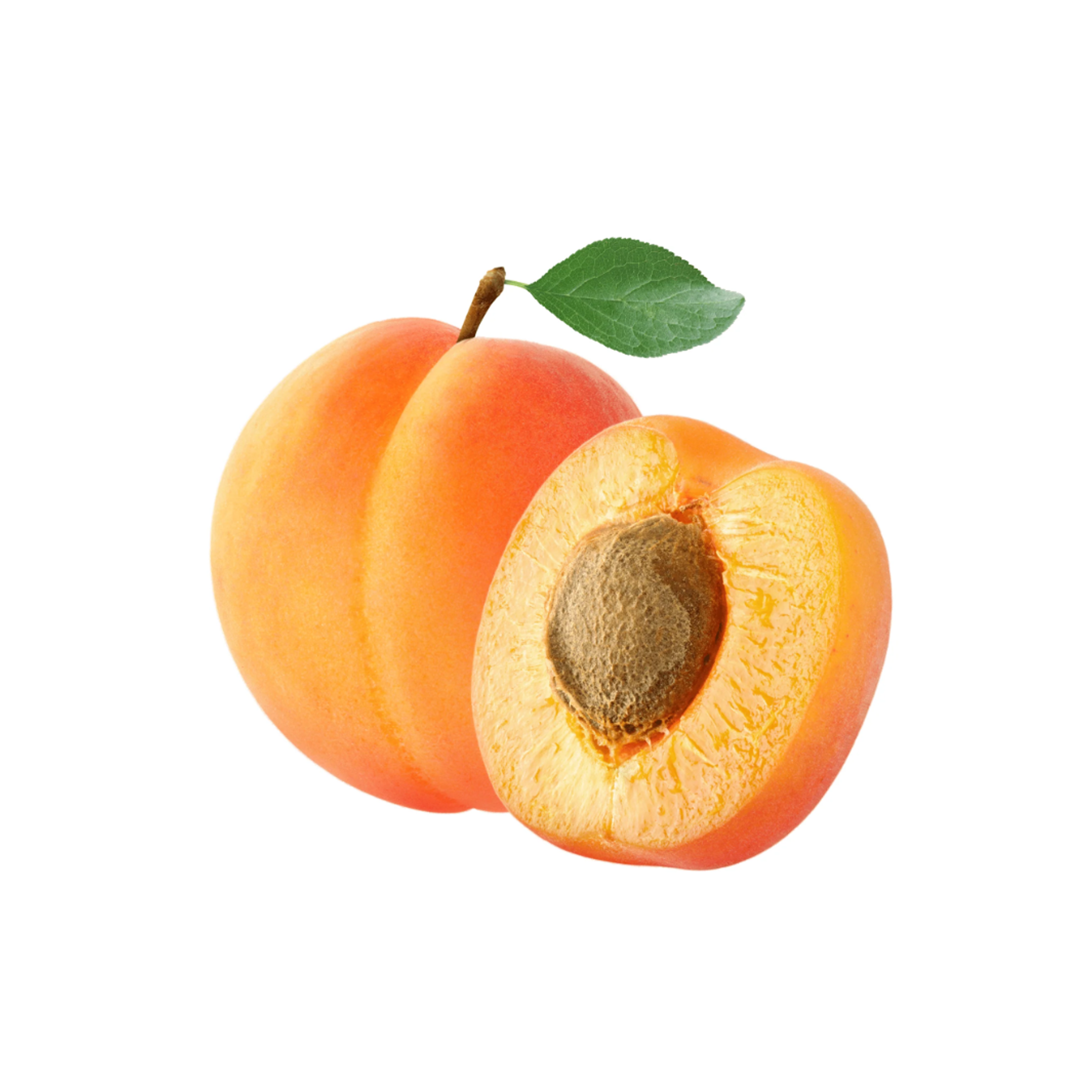 Apricot