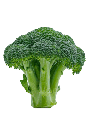 Broccoli