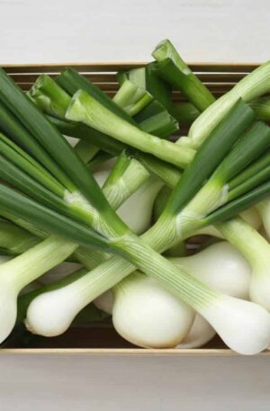 Spring Onions