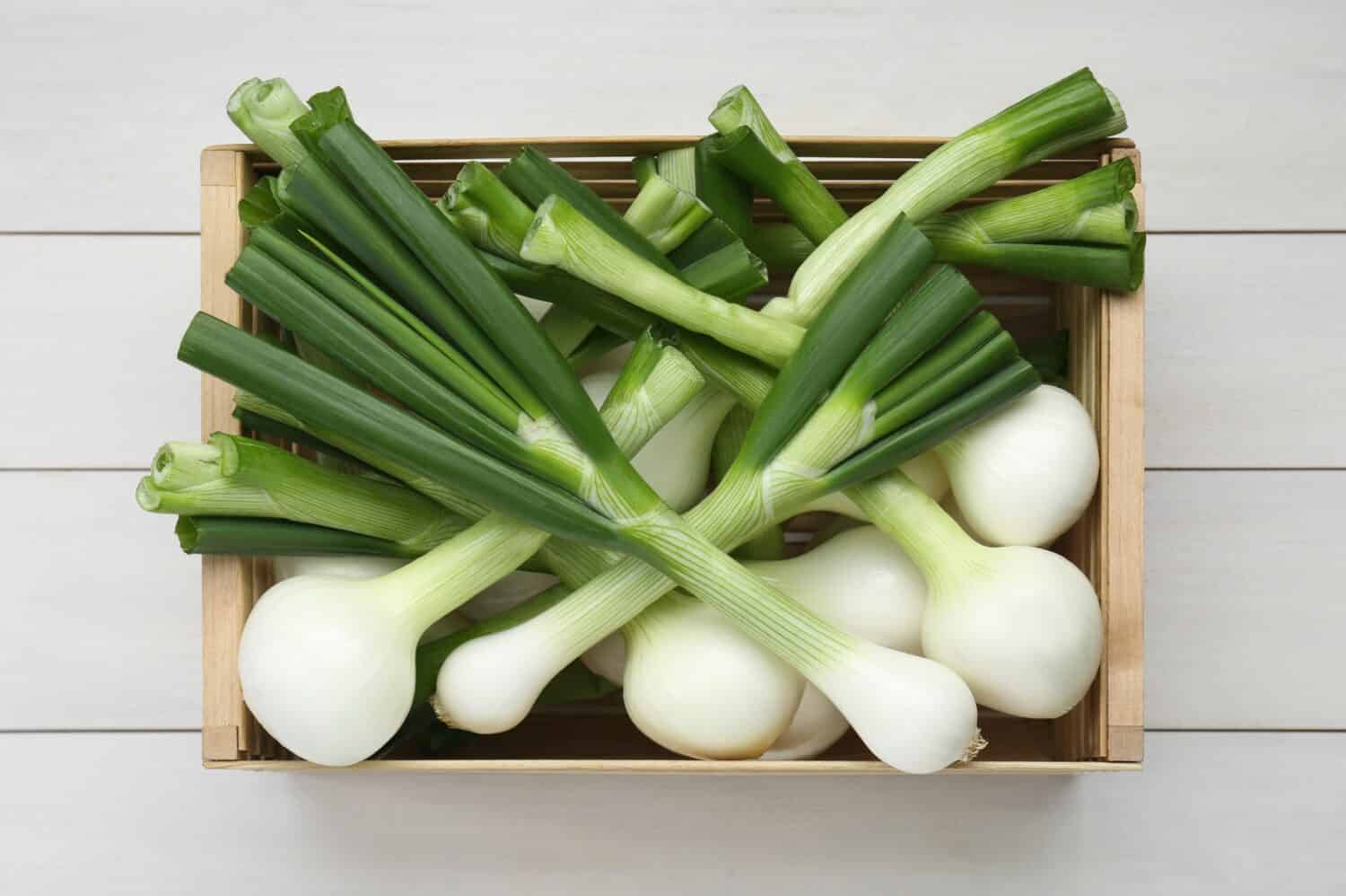 Spring Onions
